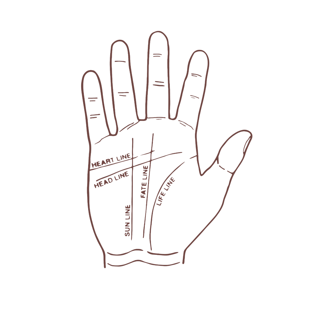 Palmistry