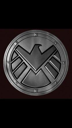 Agent of SHIELD (Young Justice SI)