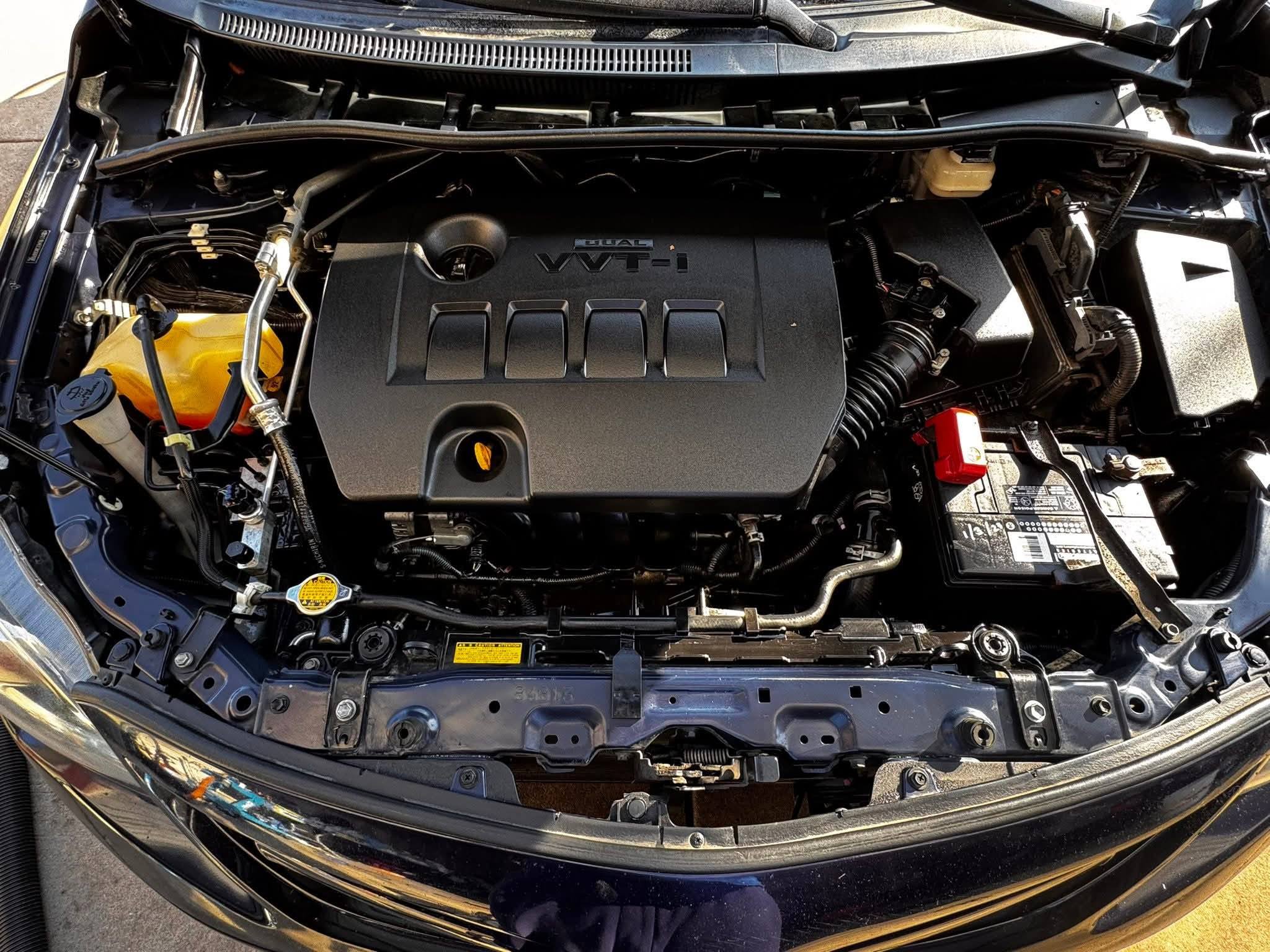 Engine bay after detail — Chillaxin 'N' Waxin