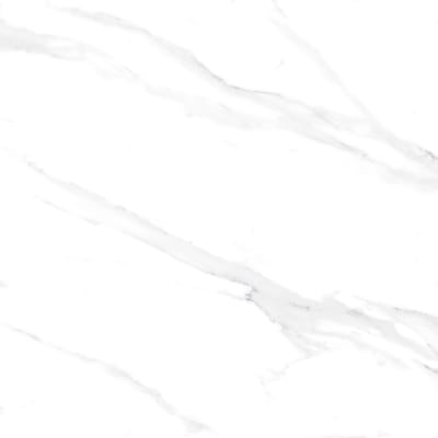 https://res.cloudinary.com/deglabntk/image/upload/v1733887854/n1anaiwczot91yoxkfrx.jpg