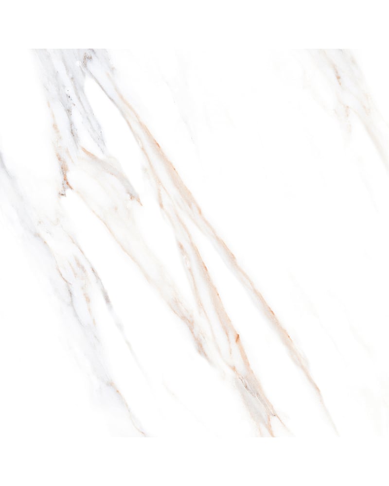 https://res.cloudinary.com/deglabntk/image/upload/v1733888016/xtglnxubd5devaxu33e1.jpg