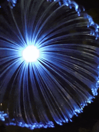 Luz solar colgante en funcionamiento