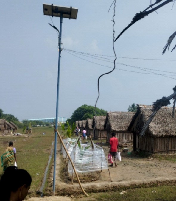 Solar Lamps