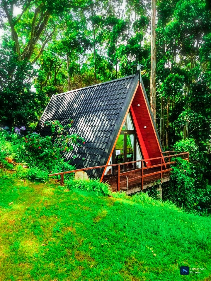 Image of "Alma 1 Cottage"