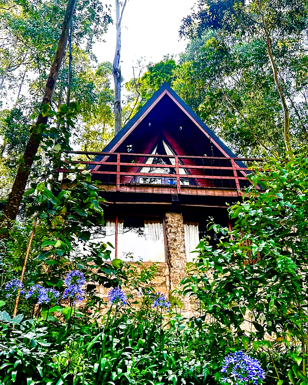 Image of "Alma 2 (The Treehouse)"