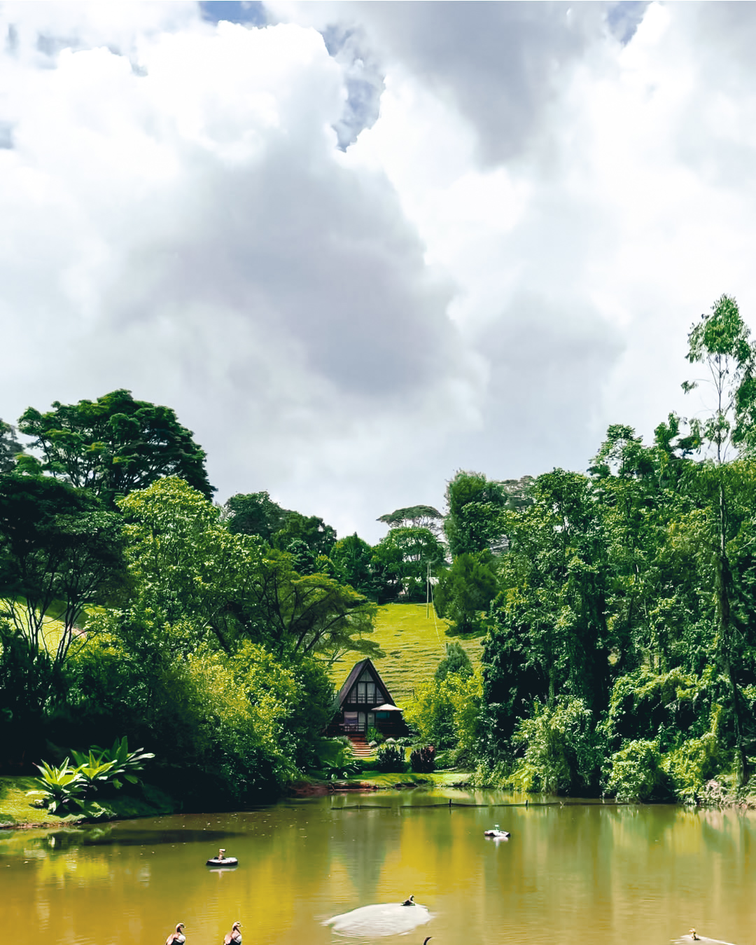 Image for Escape to Paradise: Unique Cabin Stays for Families & Friends in Tigoni