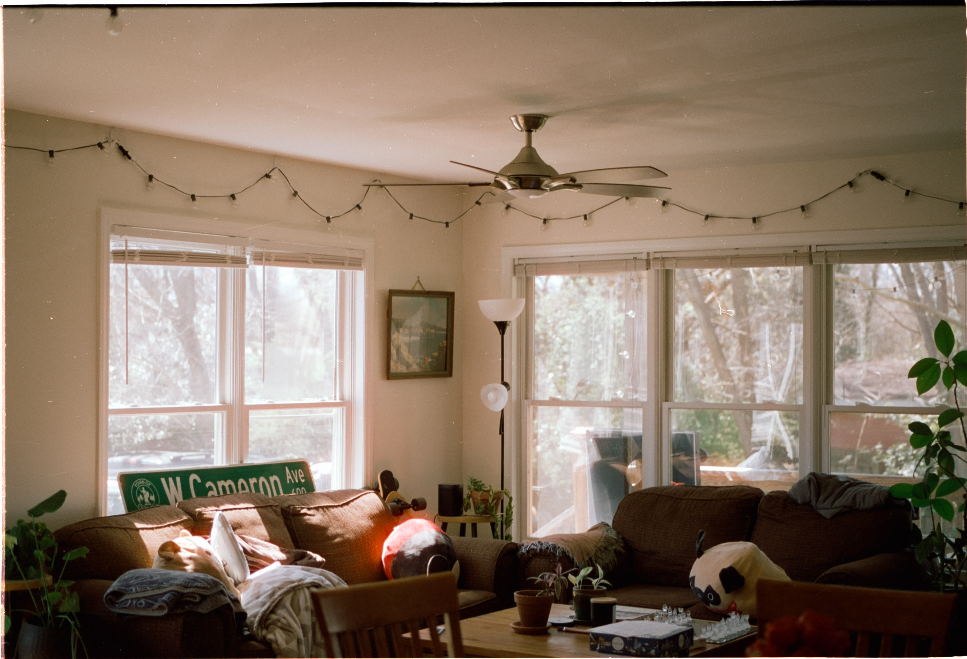 A sunlit living room with string lights and a W Cameron Ave street sign on the couch