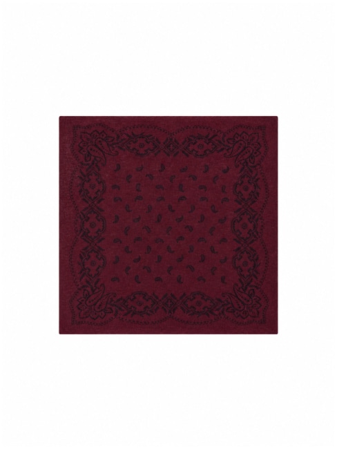 Adelina Paisley Knit Scarf Wine