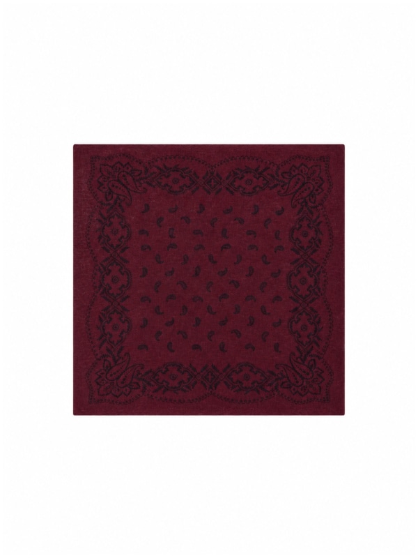 Adelina Paisley Knit Scarf Wine