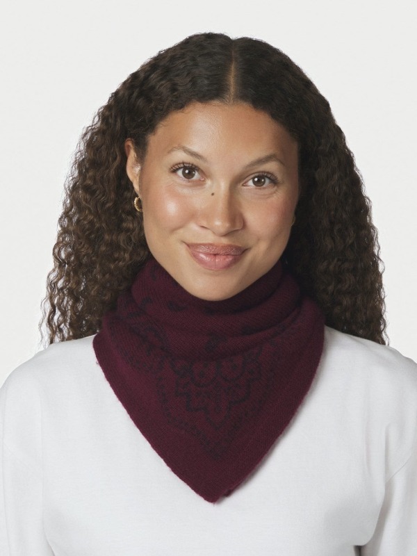 Adelina Paisley Knit Scarf Wine