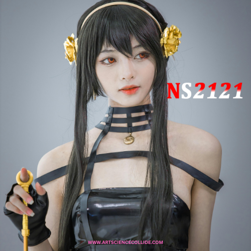 NS2121