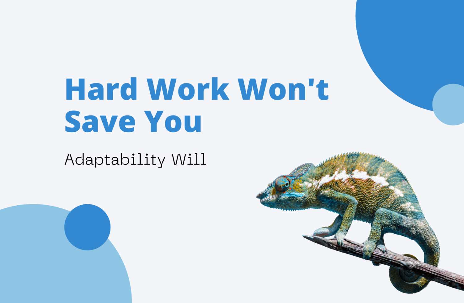 Save Work Hard Work Won't Save You | creatyl