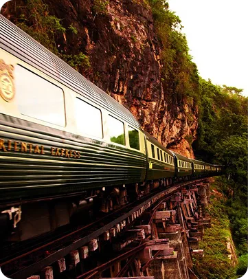 Cherry blossoms at night