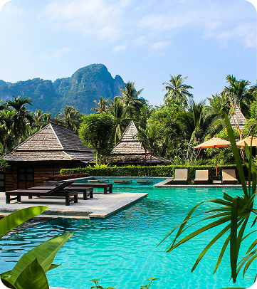 Cosmos flowers at sunset