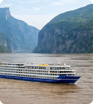 Bullet train with Mount Fuji