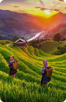 Vietnam & Cambodia - Angkor Wat