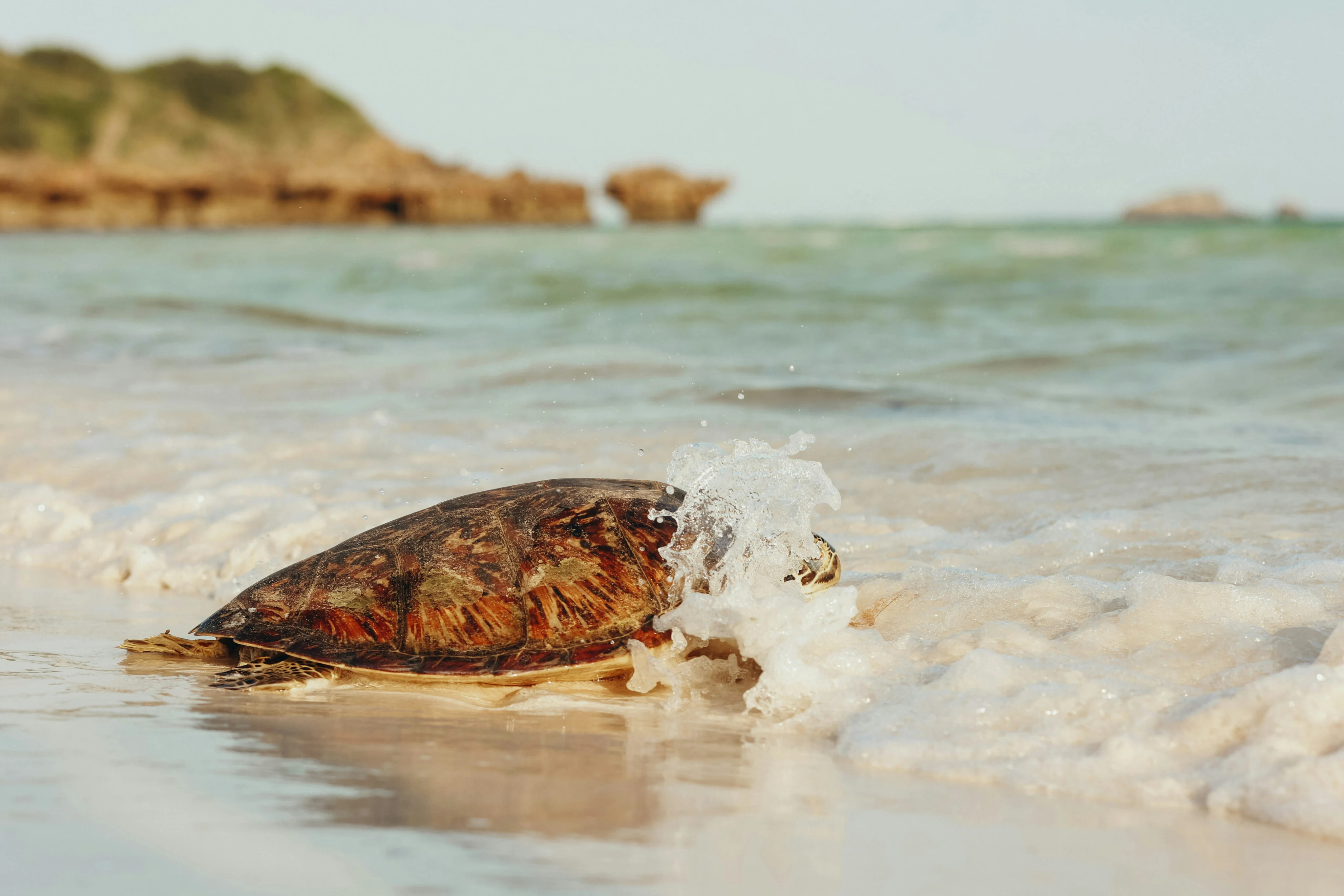 Indian Ocean Temple Interior