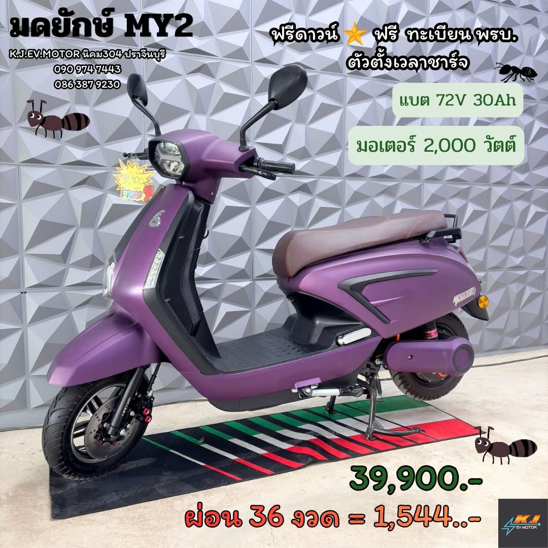 มดยักษ์ my2