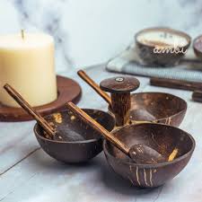 Coconut Bowl Set
