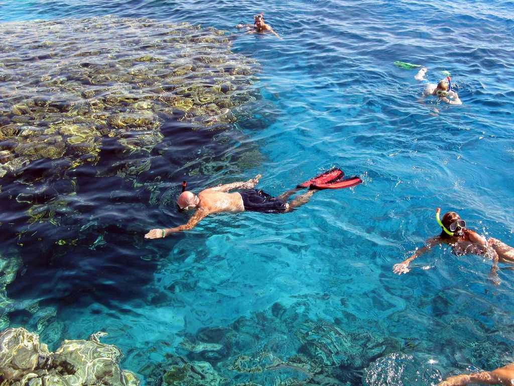 Šnorchlovací Výlet Marsa Mubarak z Marsa Alam: Plavání s Želvami a Dugongy - Marsa Alam
