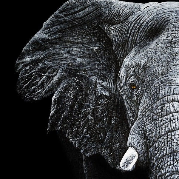 Elephant Painting ART JC - Joseph Cashmore