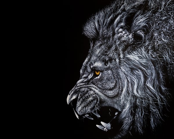 Big Cats Lion Painting ART JC - Joseph Cashmore