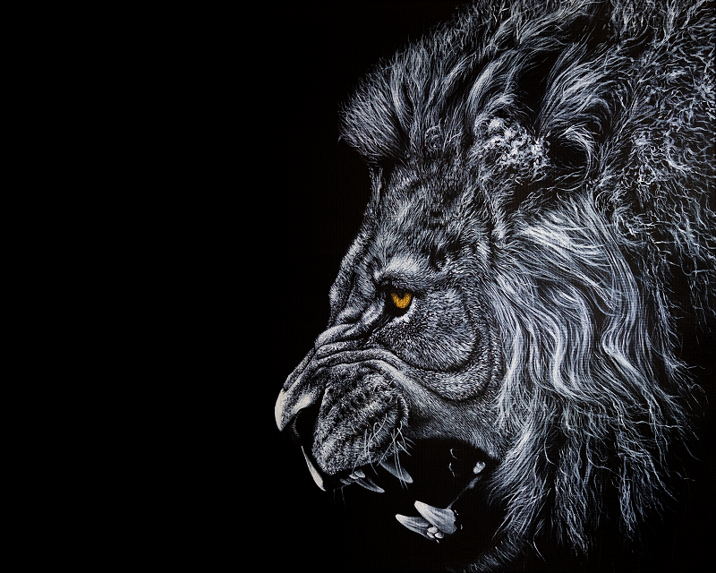 Big Cat Lion Painting ART JC - Joseph Cashmore 1