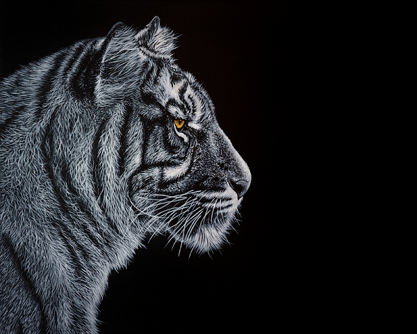 Big Cat Tiger Painting ART JC - Joseph Cashmore 1