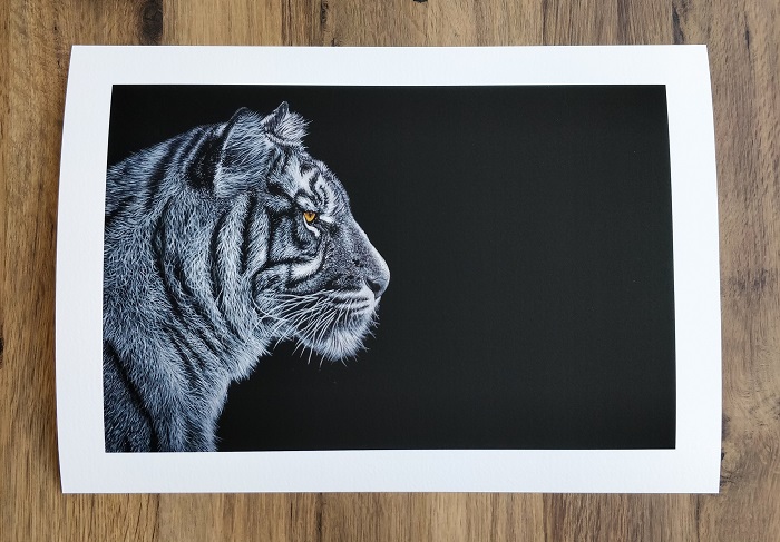 Big Cat Tiger Painting ART JC - Joseph Cashmore 4