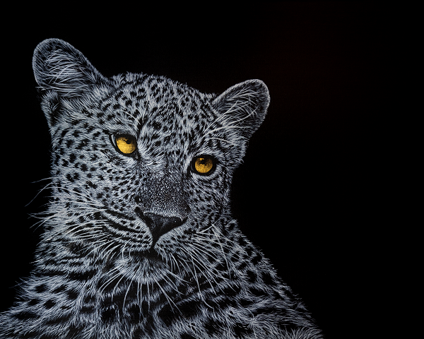 Big Cat Leopard Painting ART JC - Joseph Cashmore 1