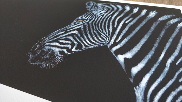 Safari Zebra Painting ART JC - Joseph Cashmore 2