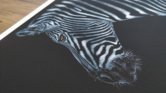 Safari Zebra Painting ART JC - Joseph Cashmore 3