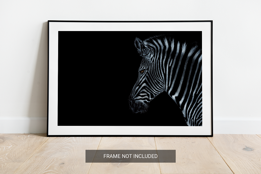 Safari Zebra Painting ART JC - Joseph Cashmore 5