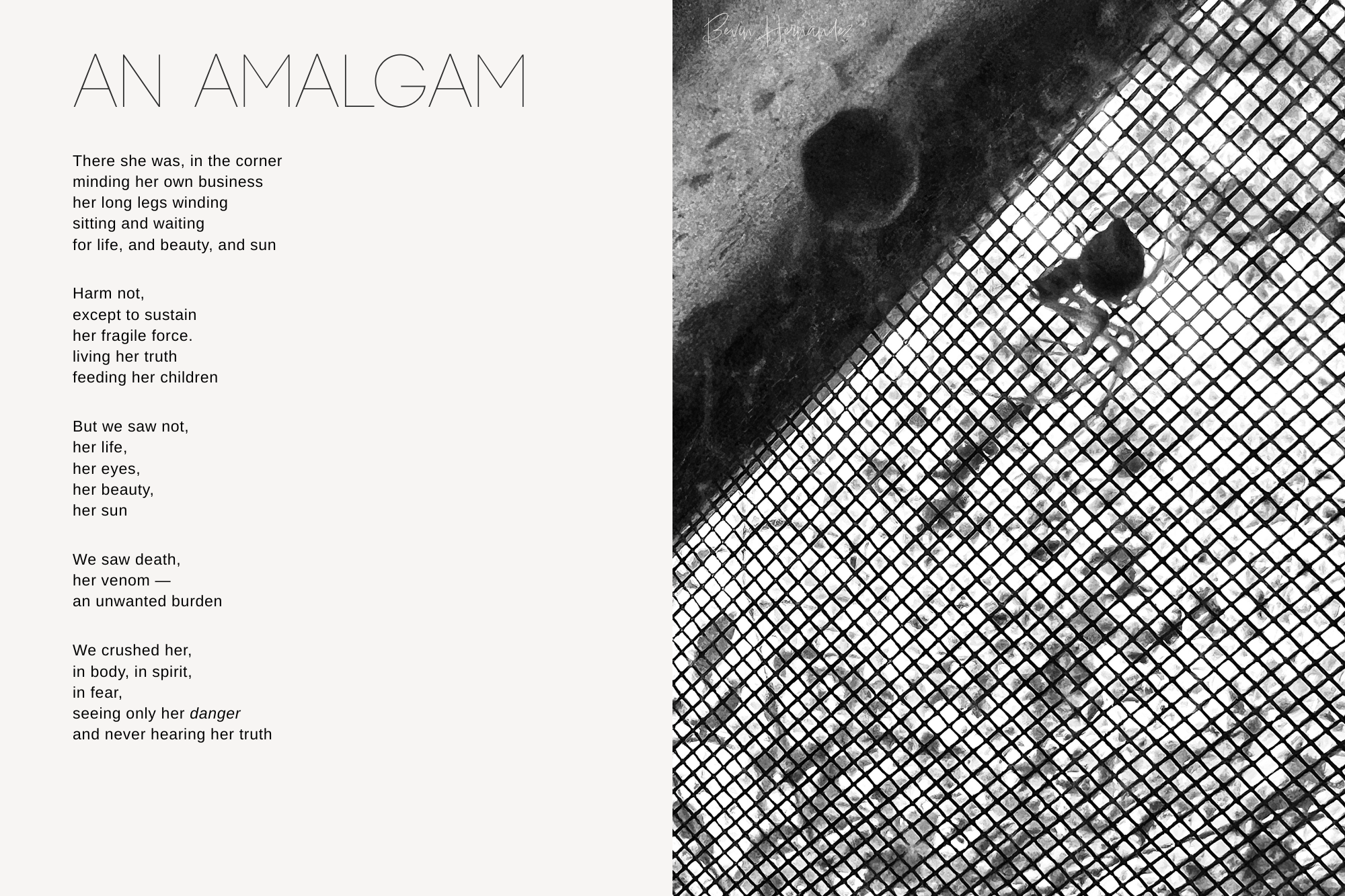 An Amalgam