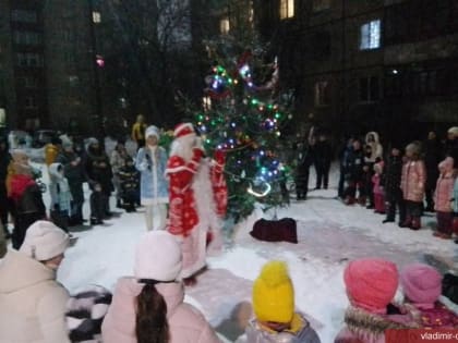 Во Владимире продолжается проведение дворовых елок