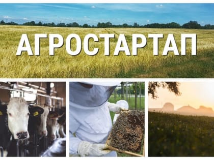 Во Владимирской области благодаря грантам «Агростартап» продолжается увеличение количества фермерских хозяйств