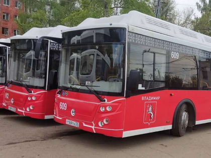 Владимирцам пообещали 100 новых автобусов уже в июле. Но есть нюансы