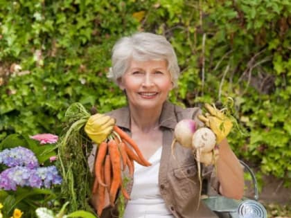 Опасные симптомы, на которые стоит обратить внимание дачникам