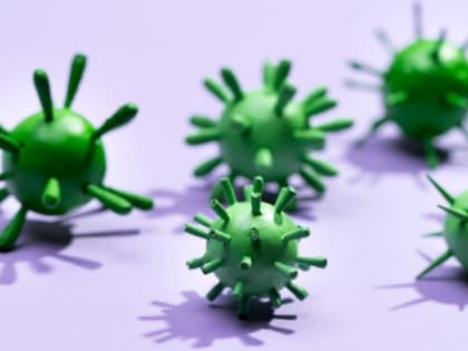 Рост заболеваемости COVID-19 во Владимирской области