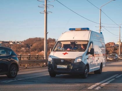 Коронавирусом во Владимирской области 13 марта заболели еще 76 человек