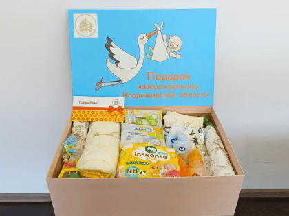 Во Владимирской области новорожденным детям предоставляются дополнительные меры поддержки