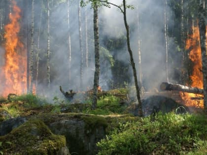 Во Владимирской области с 18 апреля на полгода установят пожароопасный сезон