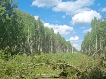 Чтобы было светлее