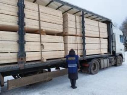 В Костромской области проведен досмотр 740 куб. м. ели, предназначенной на экспорт в Ирак