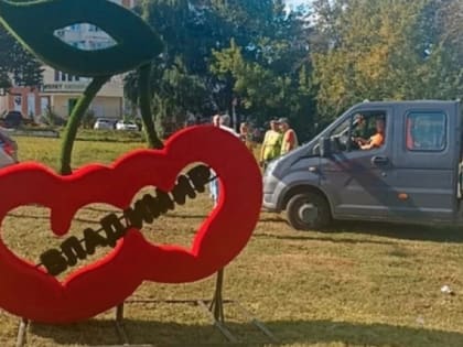 Во Владимире начнут масштабное озеленение города
