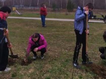 Память сильнее времени