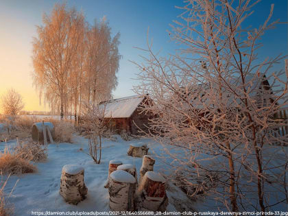 Сельские старосты получили право избираться в местные Советы