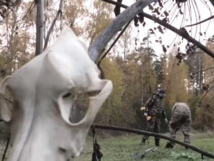 Во Владимирской области появился мистический "Муромский треугольник"