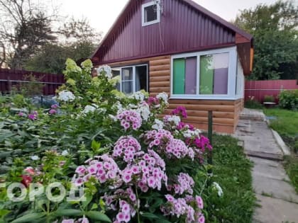 Одно из самых популярное растений у дачников запретили выращивать: новое правило с июня