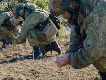 В России заговорили о новых мерах государственной поддержки граждан, помогающих участникам СВО